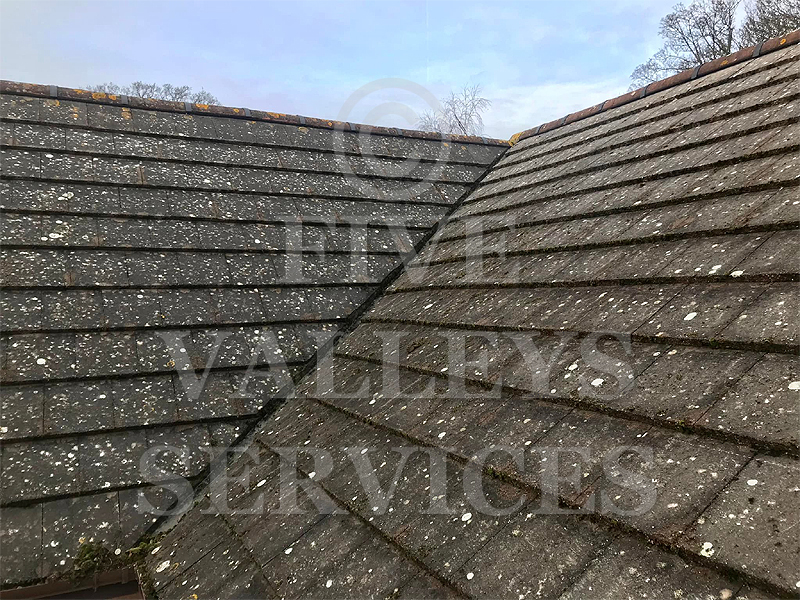 Concrete-tile roof slopes after cleaning
