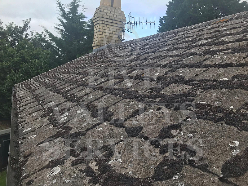 A lichen-spotted roof slope by a chimney
