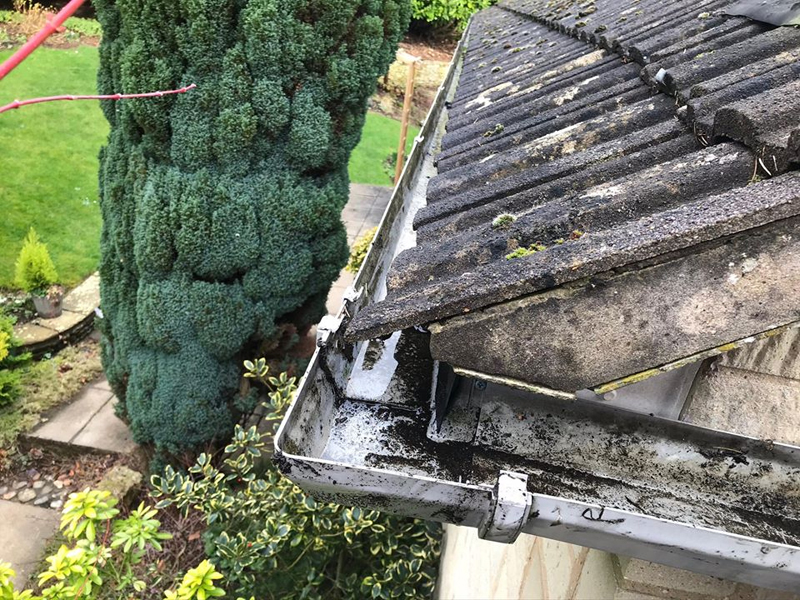 A blackened gutter edge above a garden