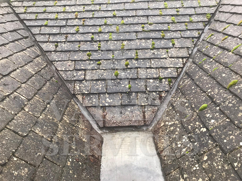 A stone-slate roof valley in Avening with moss and debris