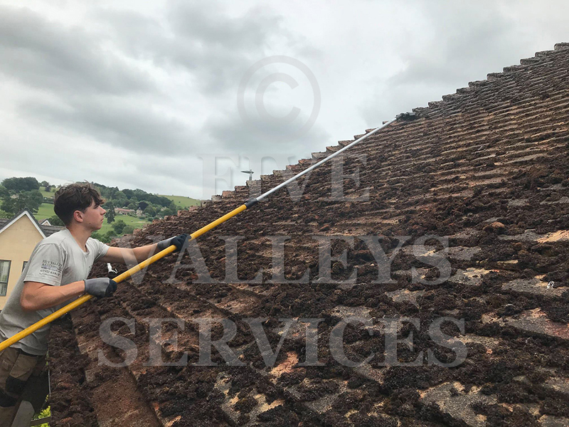 De-mossing a clay-tile roof with a long pole, the valley behind