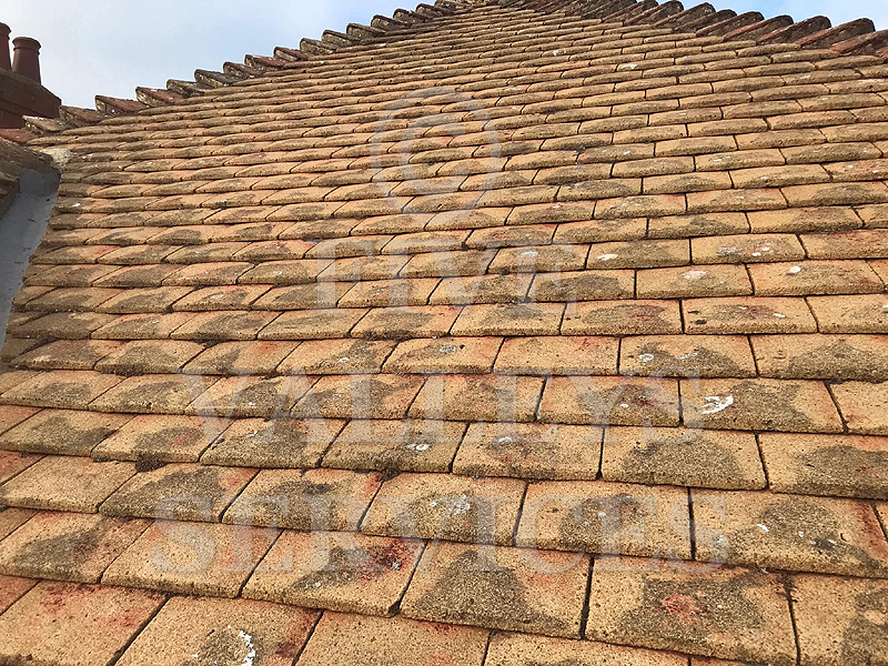 A clay-tile roof after moss removal