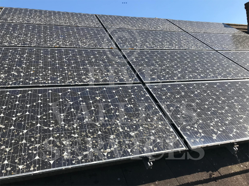 Solar panels in Saul covered in lichen spots