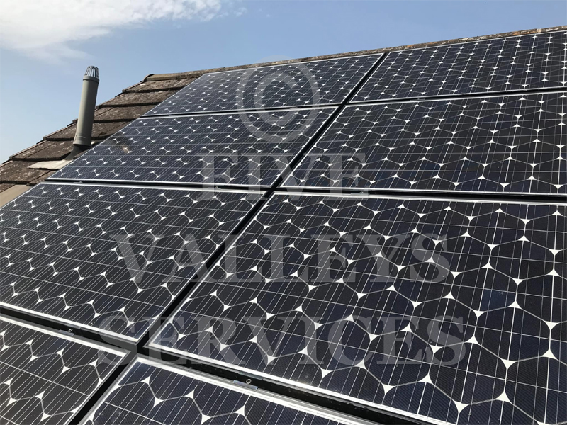 Lichen across a row of solar panels in Saul